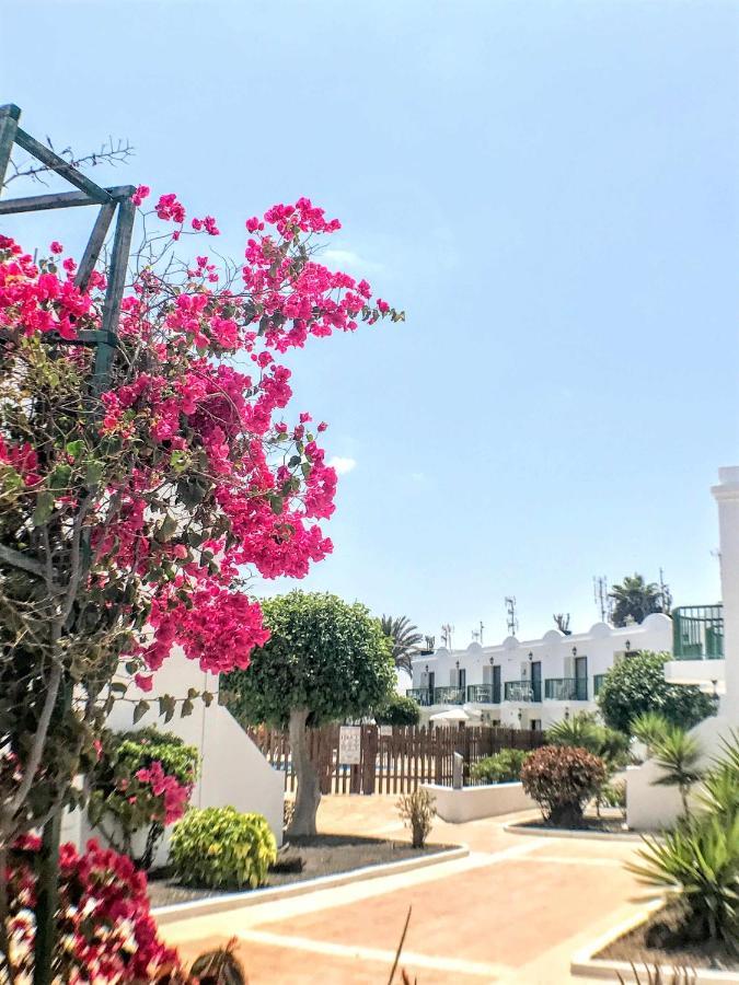 Armonia Pool View & Wi-Fi By Irent Fuerteventura Apartment คอร์ราเลโฮ ภายนอก รูปภาพ